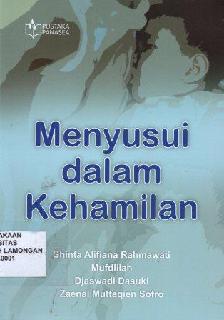 Menyusui Dalam Kehamilan